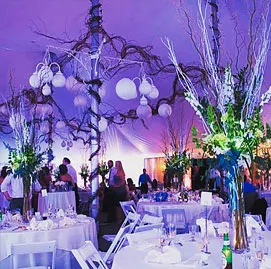 Traditions Hotel & Spa Wedding